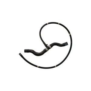 16036006